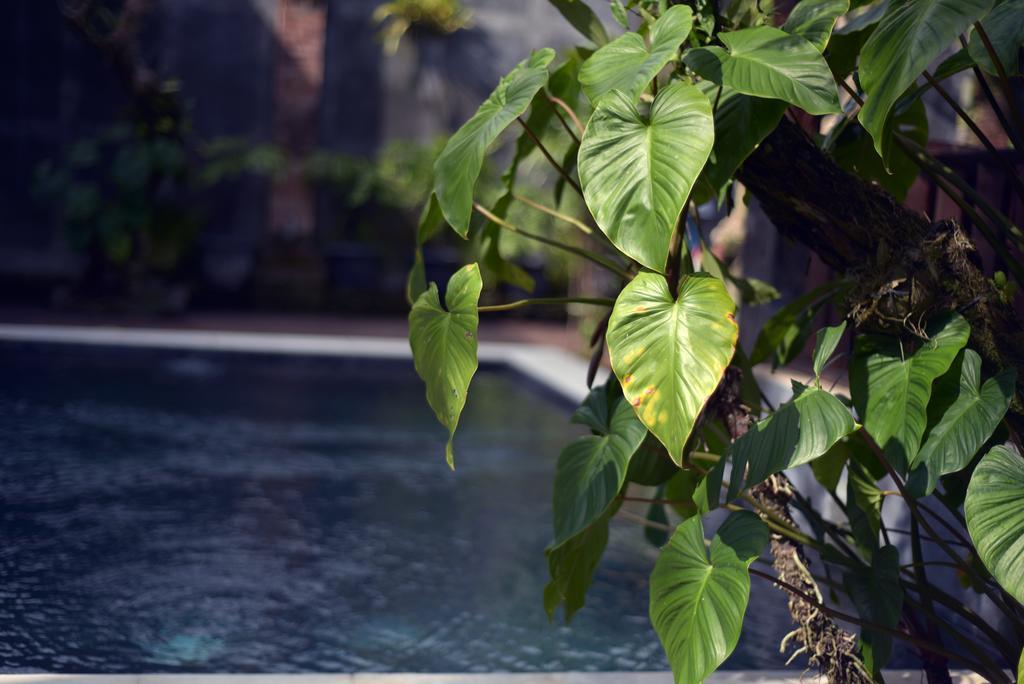 Wooden Villa By Prasi Ubud Buitenkant foto